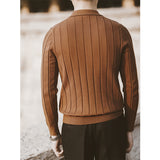 Retro Lapel Long Sleeve Polo Slim Fit Sweater