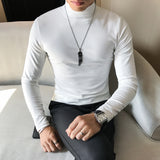 Slim Fit Solid Hight Neck T-Shirt