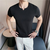 Men's Slim Fit V-Neck Striped Short Sleeve T-Shirt