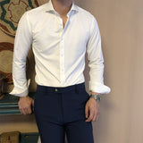 Men's Business White Non-ironing  Long Sleeve Shirt