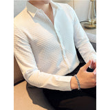 Men Business Casual Solid Color Long Sleeve Shirt